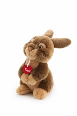 Mon joli compagnon le lapin